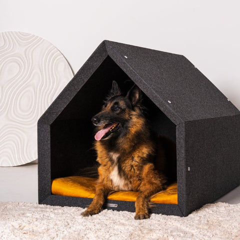 Pethome