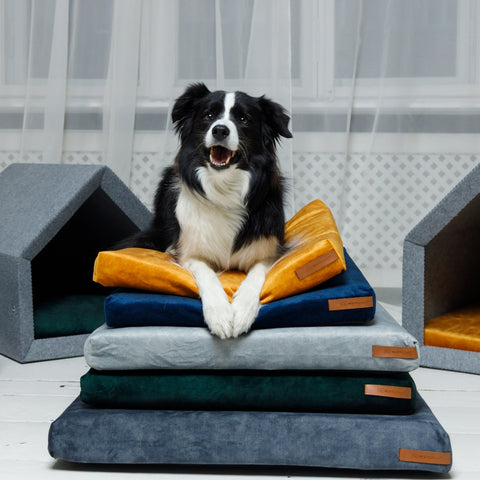 „Ori” materac ortopedyczny dla psa i kota