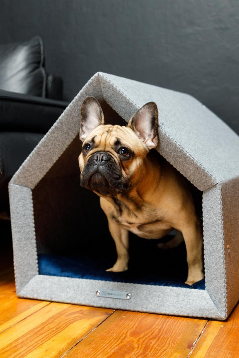 PETHOME - designerski domek dla psa z materacem