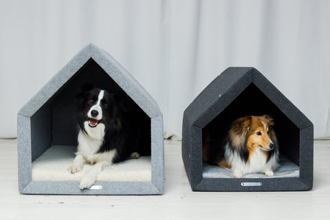 PETHOME - designer dog house with a mattress