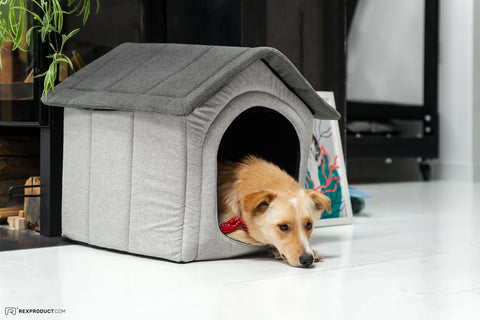 „Home“ Hundehütte aus Stoff