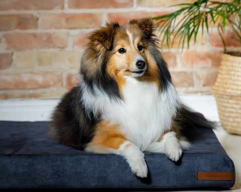 „Soft” eko materac w wielu kolorach