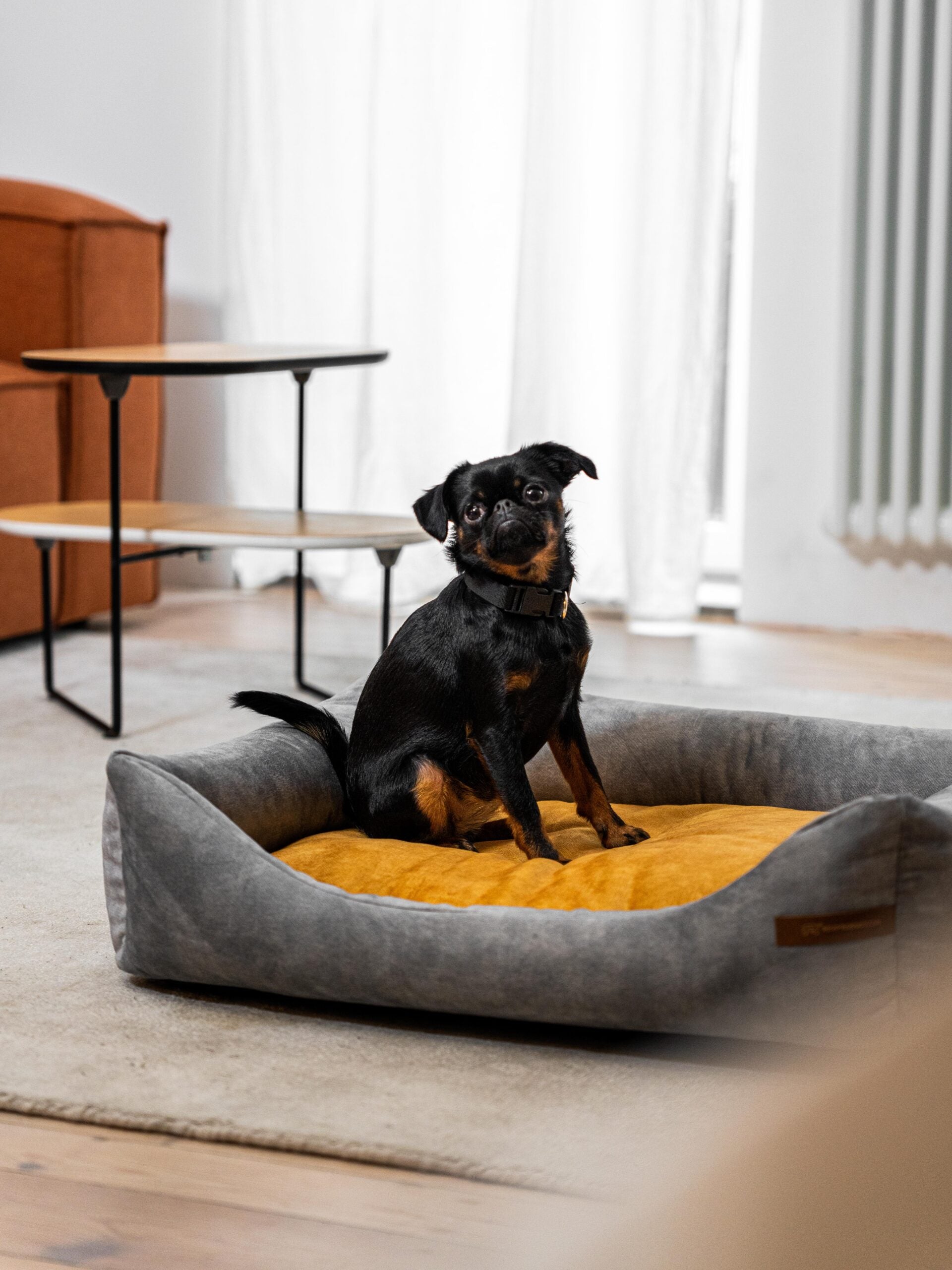 Frida” szare legowisko + materac – Rexproduct