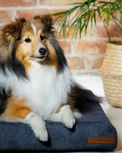 ORI - Orthopedic Mattress for Dogs & Cats