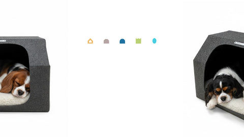 Exklusives Pre-Order nur über den Newsletter erhältlich