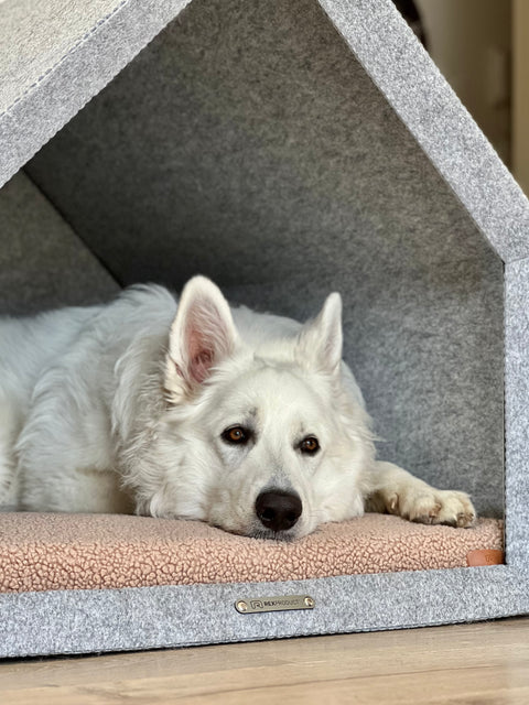 „Pethome Teddy“ Haus mit Beige Matratze