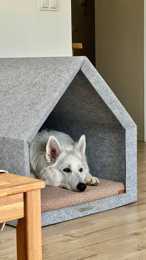 „Pethome Teddy“ Haus mit Beige Matratze