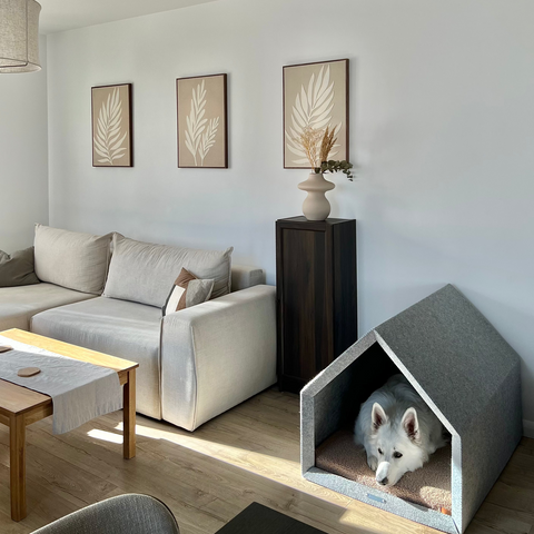 „Pethome Teddy“ Haus mit Beige Matratze