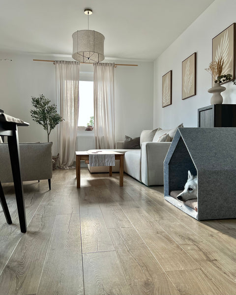 „Pethome Teddy“ Haus mit Beige Matratze