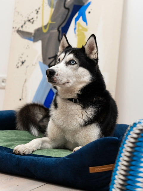 „Otto” granatowe legowisko z materacem ortopedycznym „Ori”