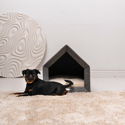 „Pethome Teddy“ Haus mit Beige Matratze