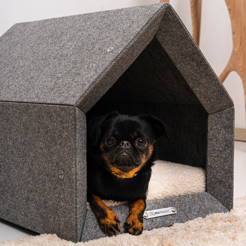 „Pethome Teddy“ Haus mit Beige Matratze