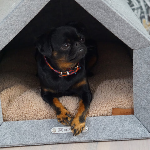 „Pethome Teddy“ Haus mit Beige Matratze