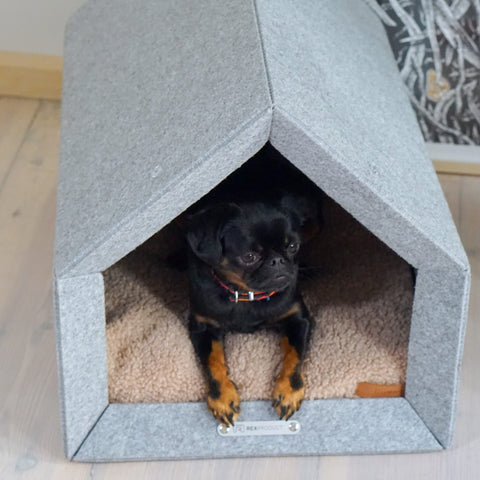 „Pethome Teddy“ Haus mit Beige Matratze