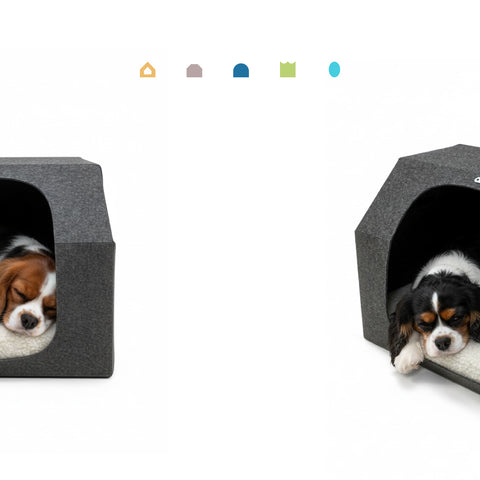 Exklusives Pre-Order nur über den Newsletter erhältlich